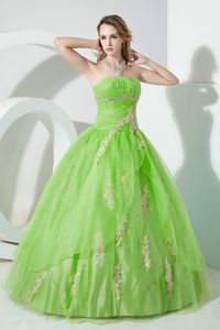 Spring Green Ruche Organza Quinceanera Dress with Appliques 2013
