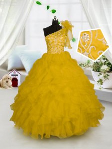 One Shoulder Organza Sleeveless Floor Length Little Girls Pageant Gowns and Embroidery and Ruffles